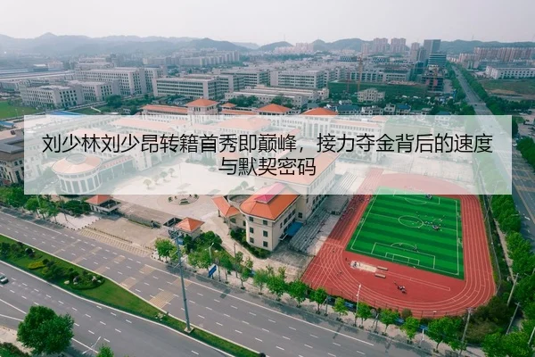 刘少林刘少昂转籍首秀即巅峰，接力夺金背后的速度与默契密码